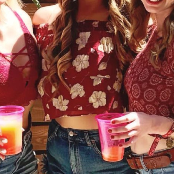 NWT Flynn Skye Athens Top in Sheer Garnet - Picture 5 of 6